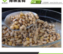 納豆紅曲作用|博林生物|納豆