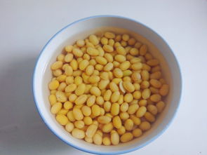 小蔥納豆的做法,小蔥納豆怎么做好吃,小蔥納豆的家常做法 魚眼中的愛