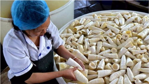 農村這種東西,以前被拿去喂豬,如今卻成了餐桌上的一道美味