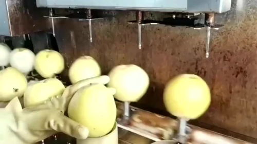 鮮榨梨顆粒漿,全部優選一級鮮梨榨取,這工廠食品放心了