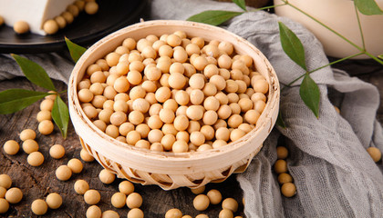 納豆是什么 什么是納豆