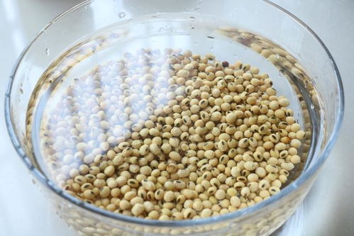 自制納豆,營養豐富,軟糯拉絲,老人孩子都愛吃,做法超級簡單