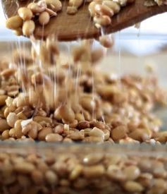 這些臭臭的食物,對身體竟然有著意想不到的功效